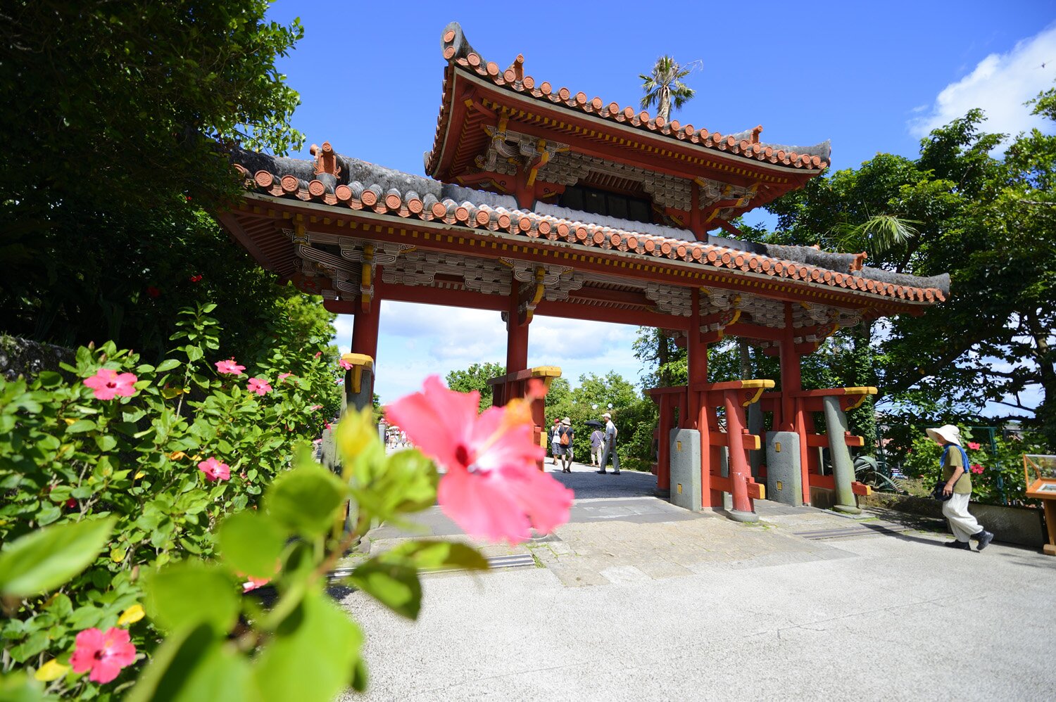 Вы сейчас просматриваете Джитоми, Окинава, Япония: погодные условия на острове.